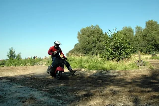 2007 Tholen