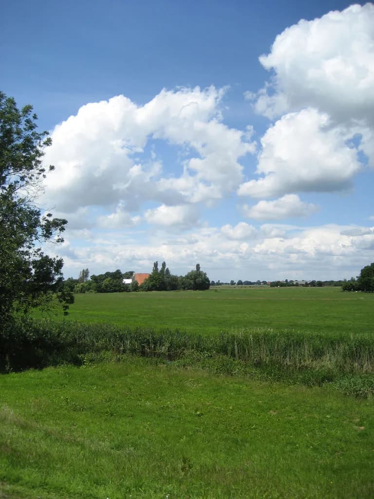2008 Blankenham run