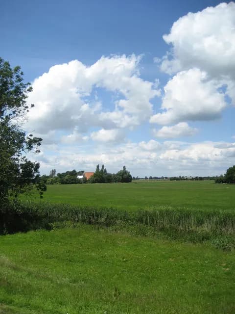 2008 Blankenham run