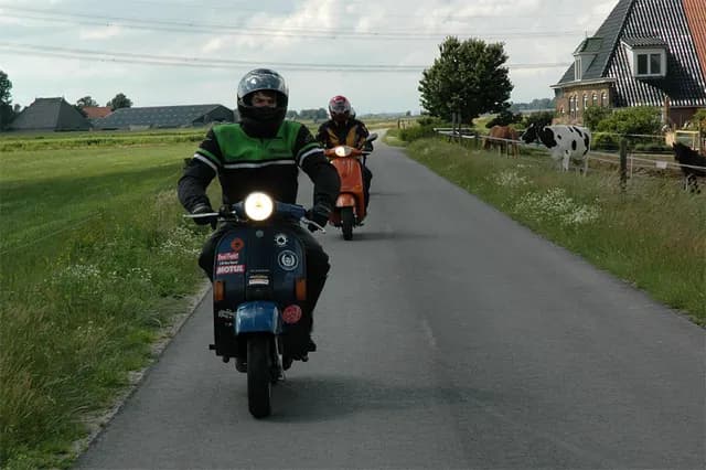 2008 Blankenham run