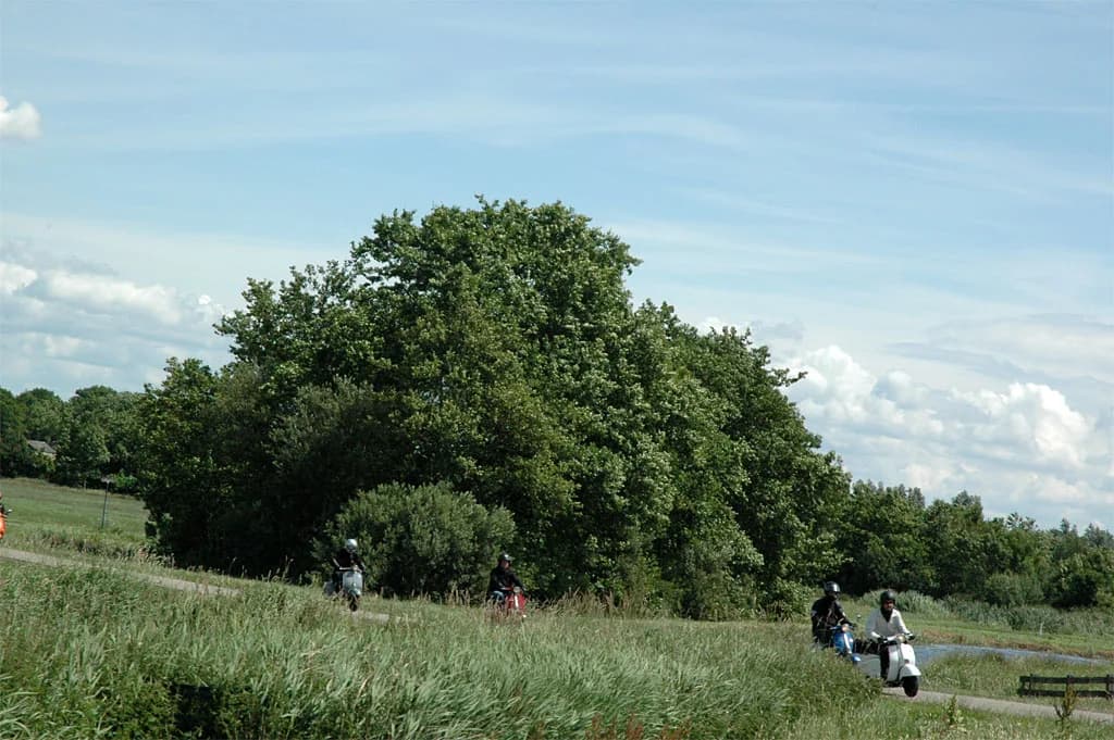 2008 Blankenham run