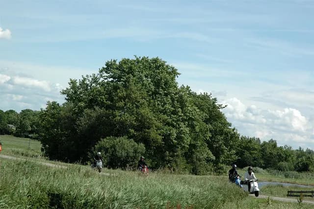 2008 Blankenham run