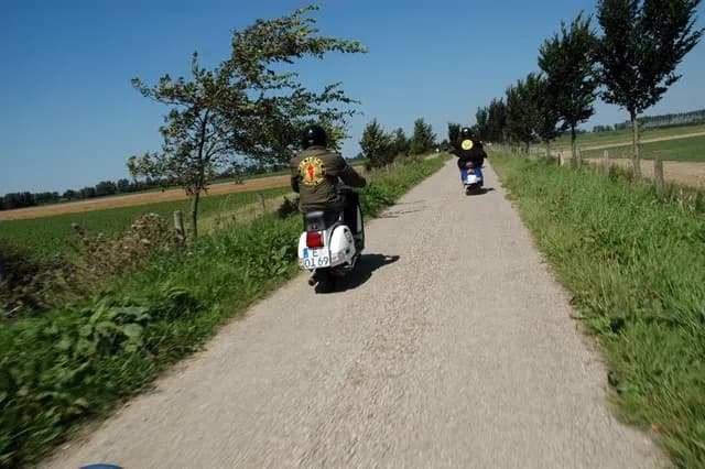 2007 Tholen