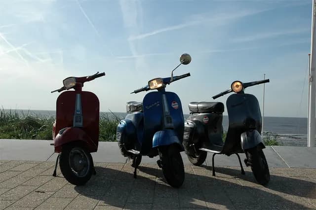 2007 Bollenrit