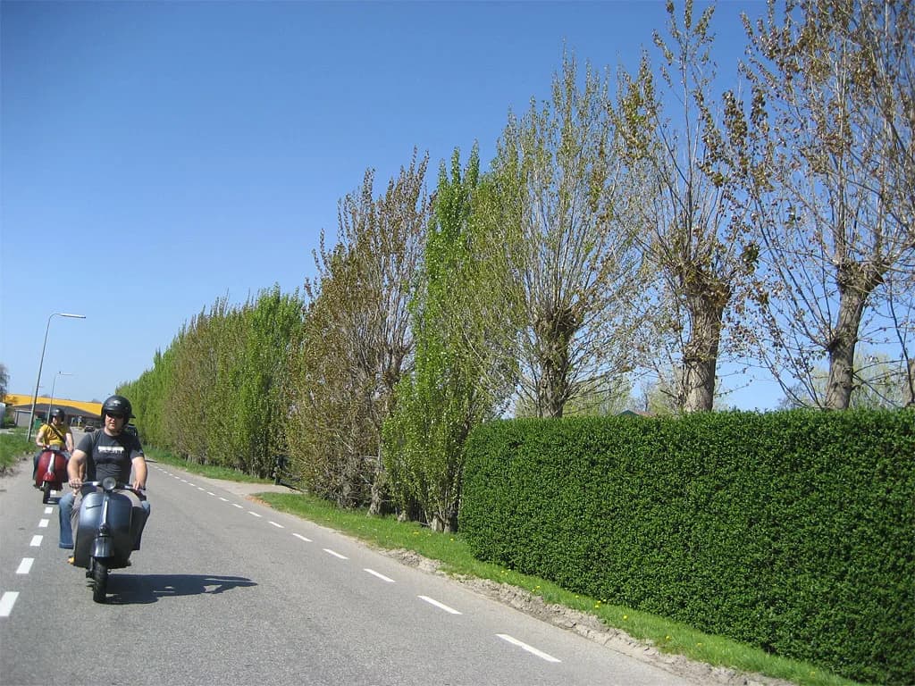 2007 Ritje Delft