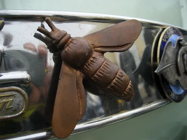 2006 SCK