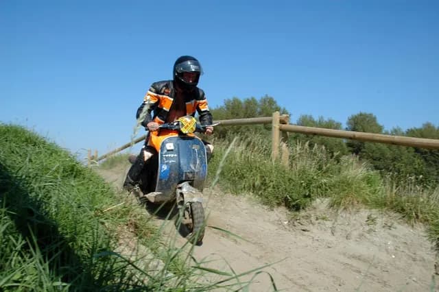 2007 Tholen