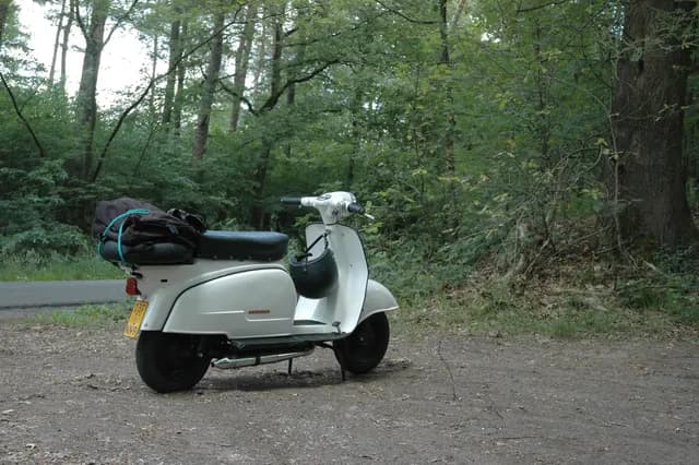 2008 Blankenham run