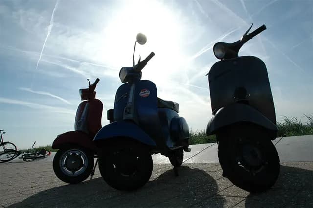 2007 Bollenrit
