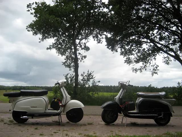 2008 Blankenham run