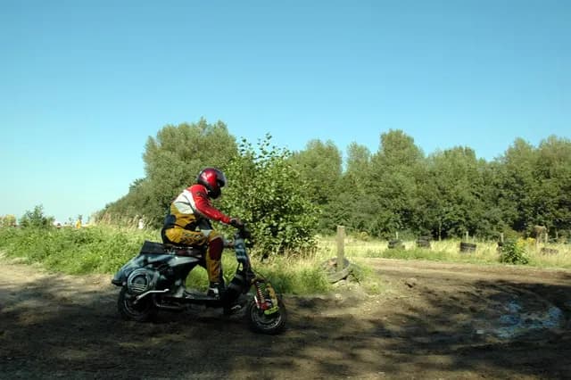 2007 Tholen