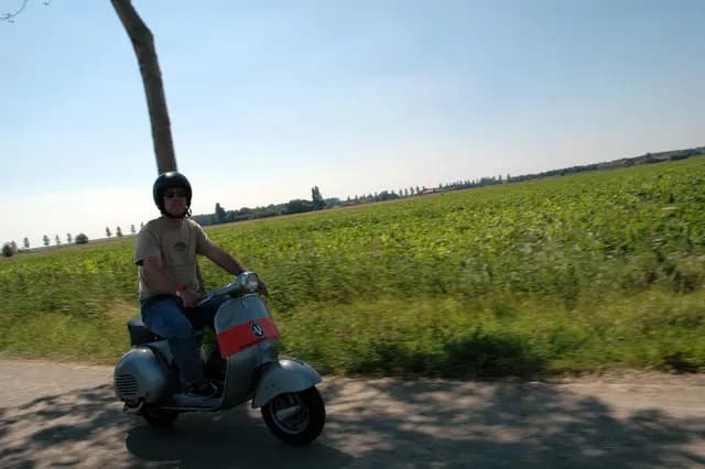 2007 Tholen