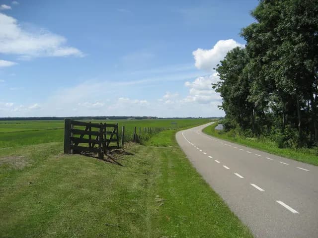 2008 Blankenham run
