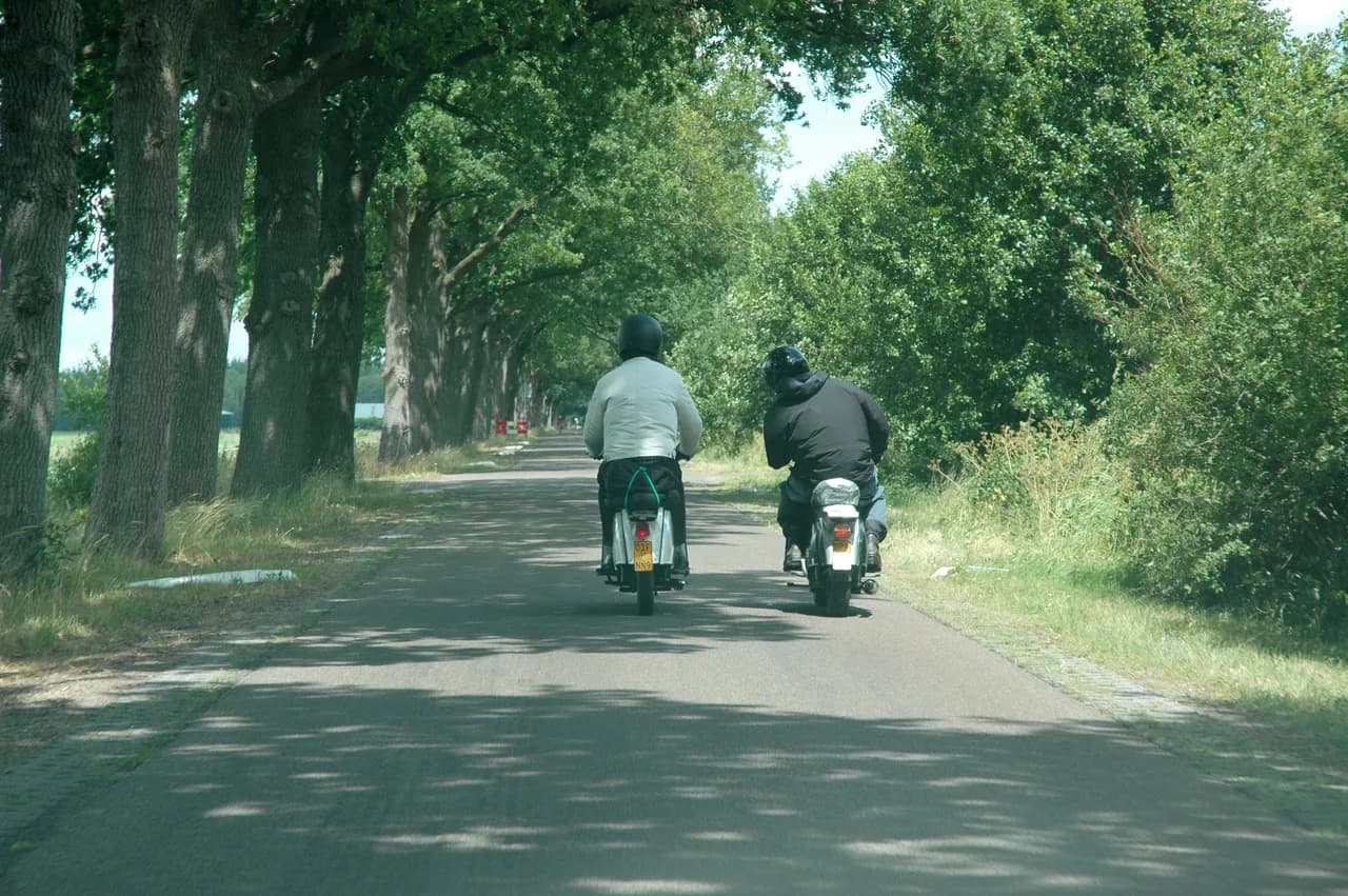 2008 Blankenham run
