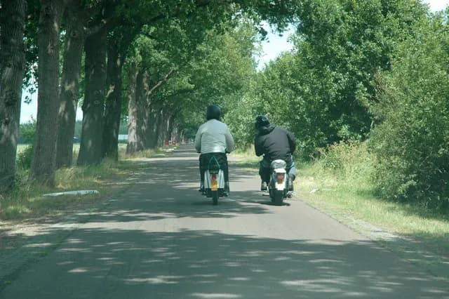 2008 Blankenham run