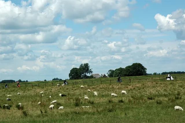 2008 Blankenham run