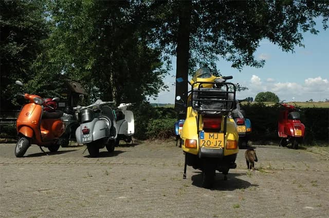 2008 Blankenham run