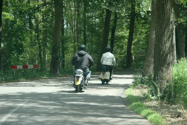 2008 Blankenham run
