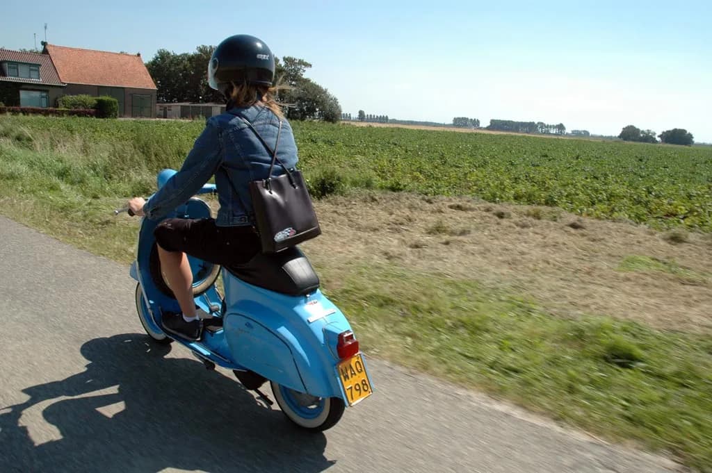 2007 Tholen