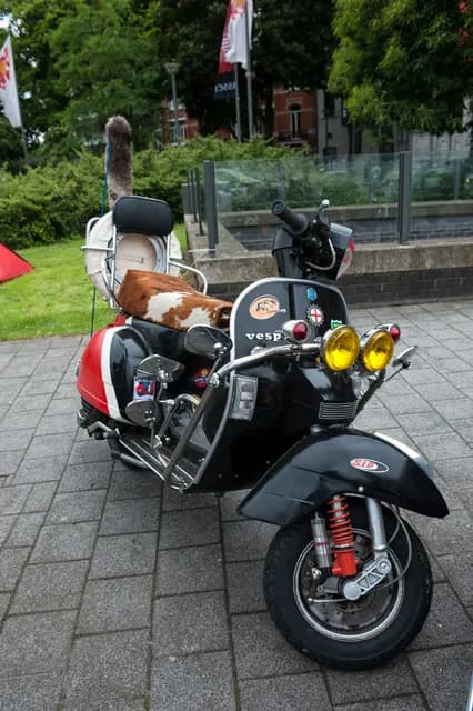 2013 Vespa World Days, Hasselt