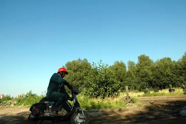 2007 Tholen