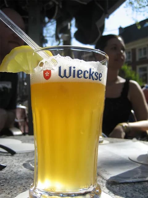 2007 Ritje Delft