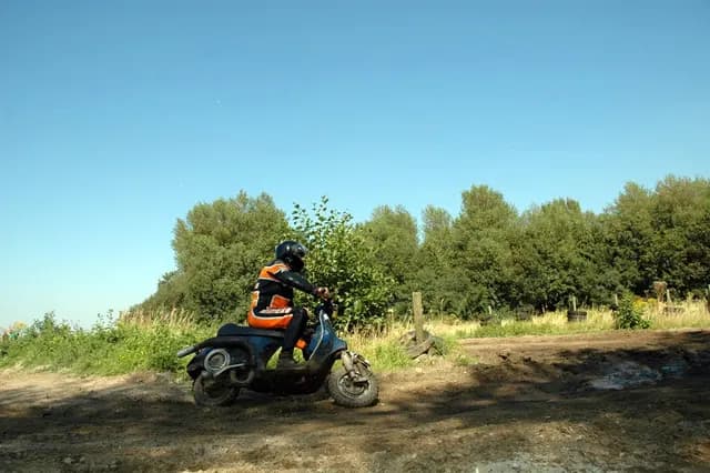 2007 Tholen