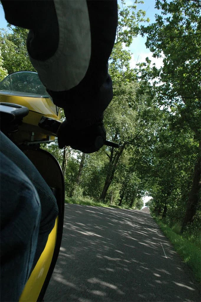 2008 Blankenham run