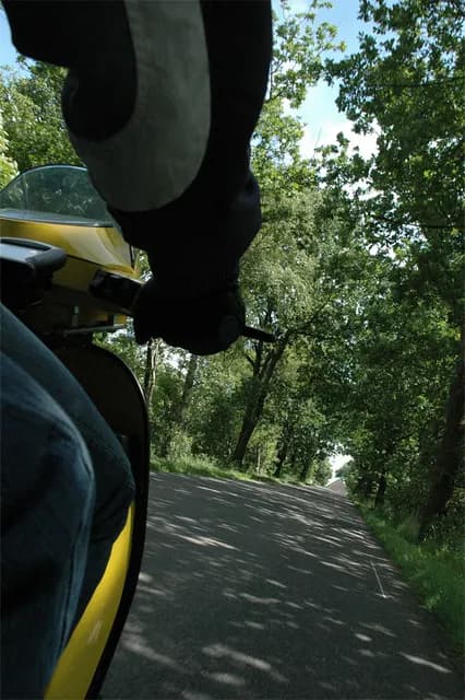 2008 Blankenham run