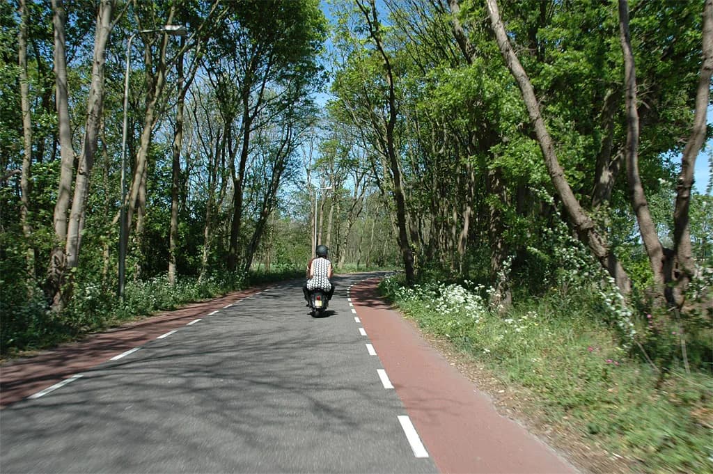2007 Bollenrit