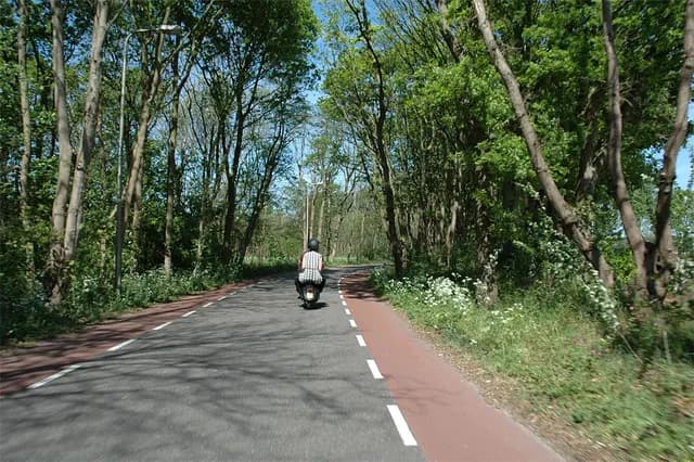 2007 Bollenrit