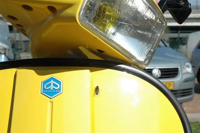 2008 Customshow Antwerpen
