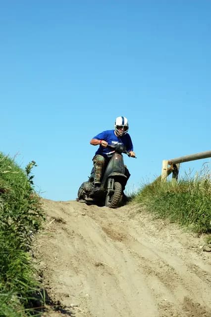 2007 Tholen