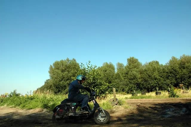 2007 Tholen