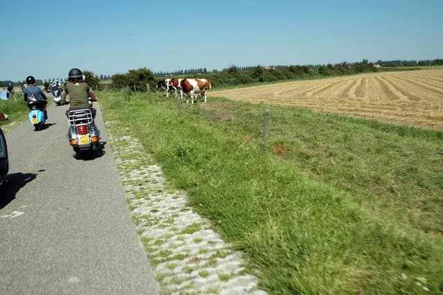 2007 Tholen