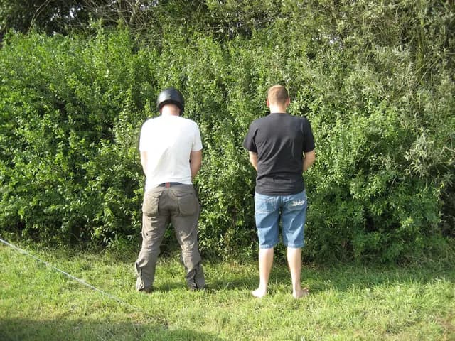2006 Tholen