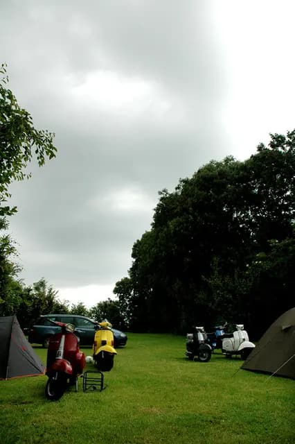 2008 Blankenham run