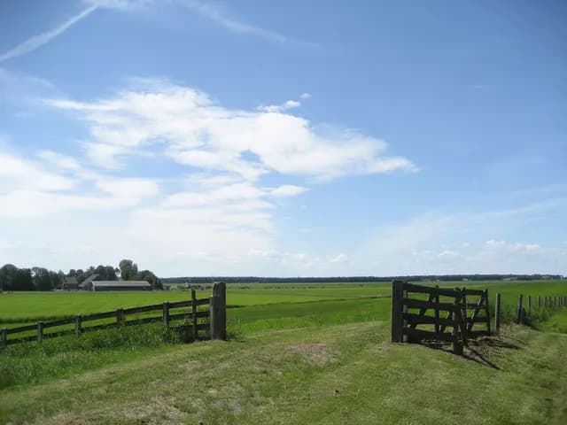 2008 Blankenham run