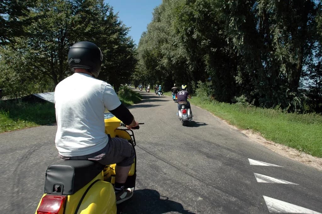2007 Tholen
