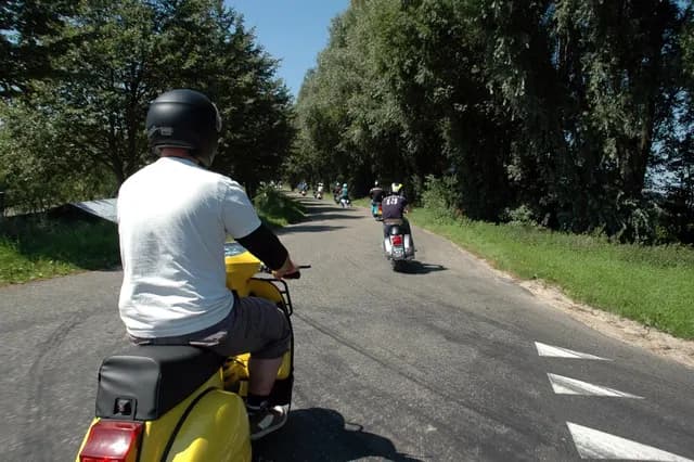 2007 Tholen