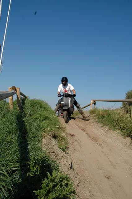 2007 Tholen