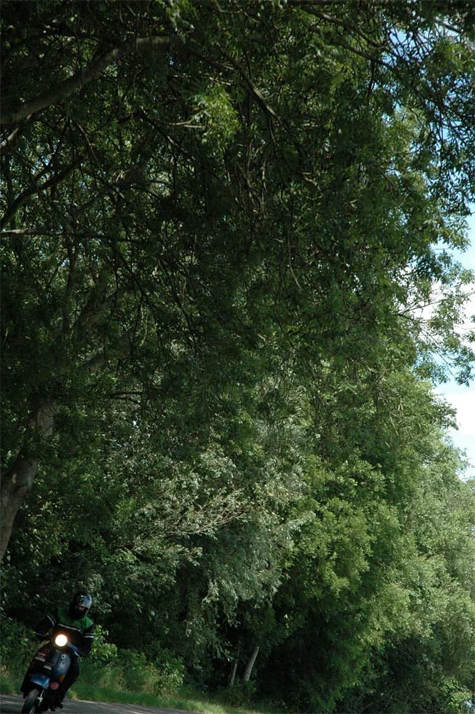 2008 Blankenham run