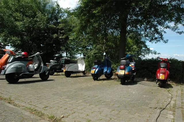 2008 Blankenham run