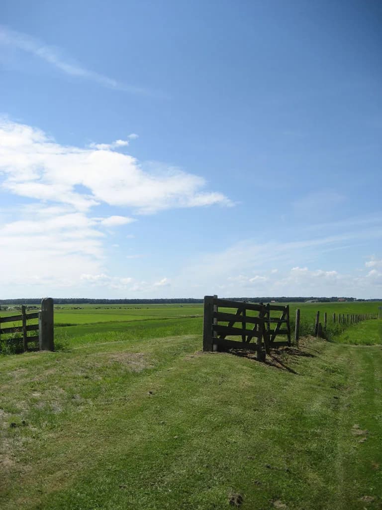 2008 Blankenham run